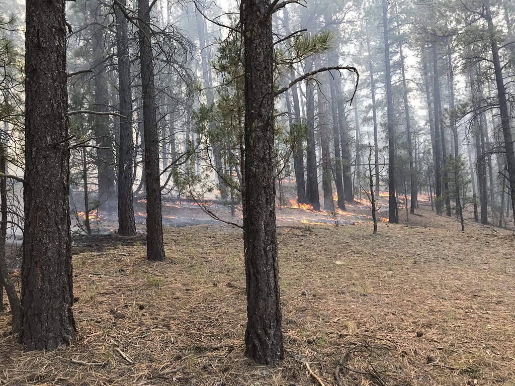 2018 Alamosa RX Day 1 Carson National Forest Flickr
