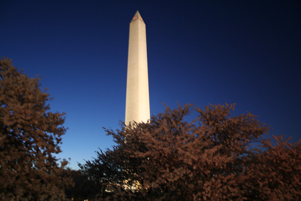 2007 Cherry Blossoms 256 Chamille Houston Flickr