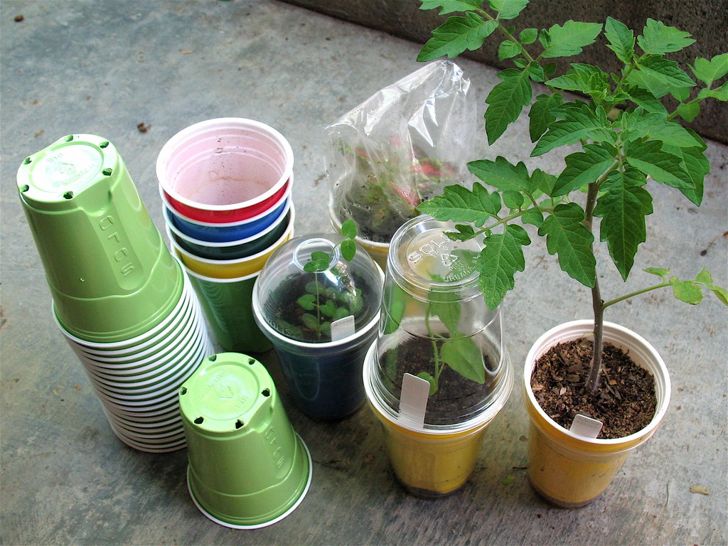 Why I Like These Plastic Cups as Planting Pots. SoloGrips … Flickr
