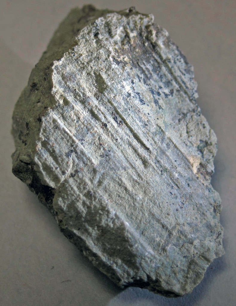Slickenlined argillaceous limestone (Maxville Limestone, Mississippian