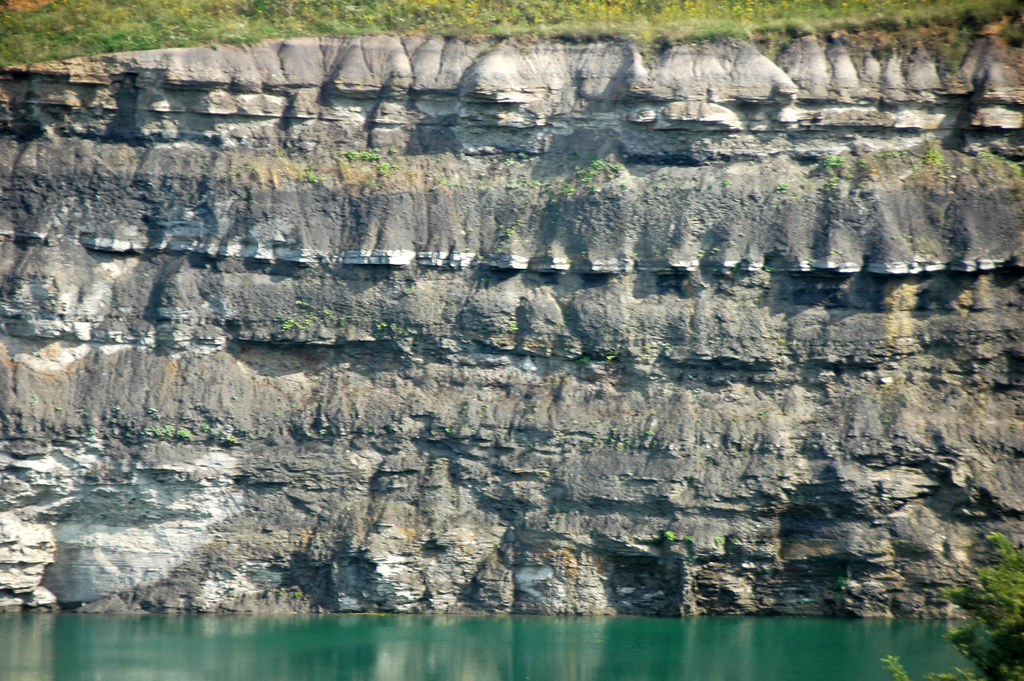 Pottsville Group (Pennsylvanian; Dupler Pit, East Fultonha… Flickr