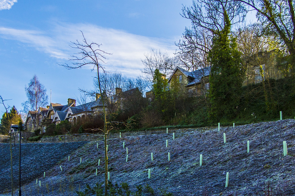 Report Hawick Cottage Hospital, Hawick 2019 Asylums and