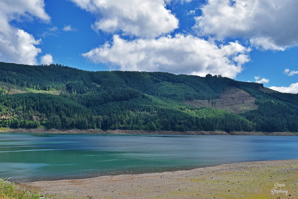 DSC_2671 Lookout Point Lake, OR Stephanie Ovdiyenko Flickr