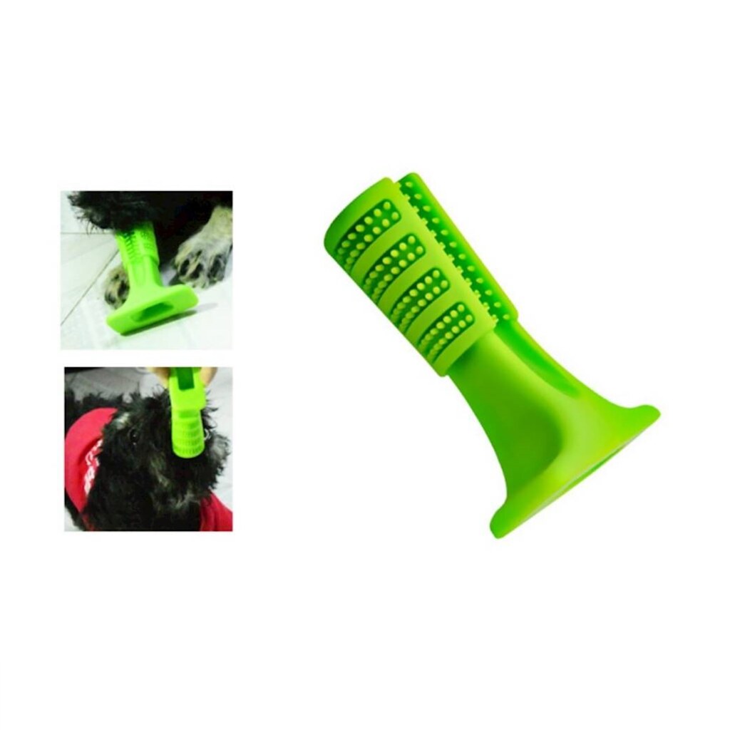 184539_toothbrush dog kit toothbrush holder dog bamboo dog… Flickr