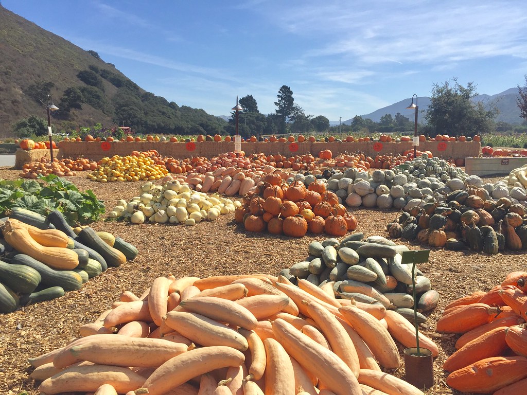 Earthbound Farms Carmel Valley Lisa Suender Flickr