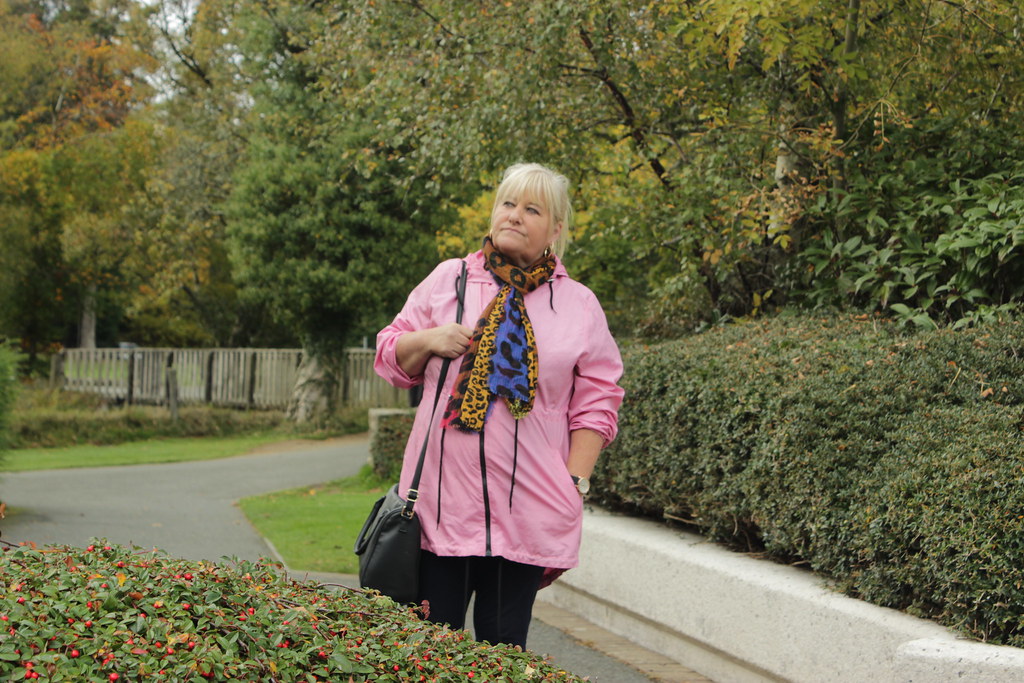 IMG_0079 Gerry Rooney Flickr