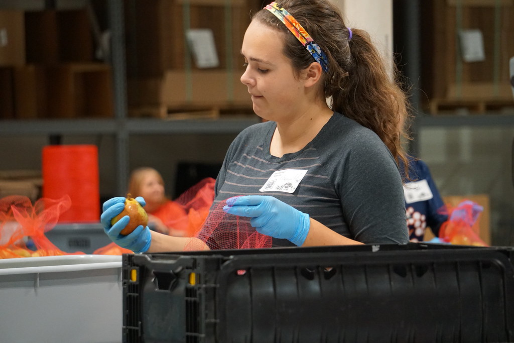 Joliet (54) Northern Illinois Food Bank Flickr
