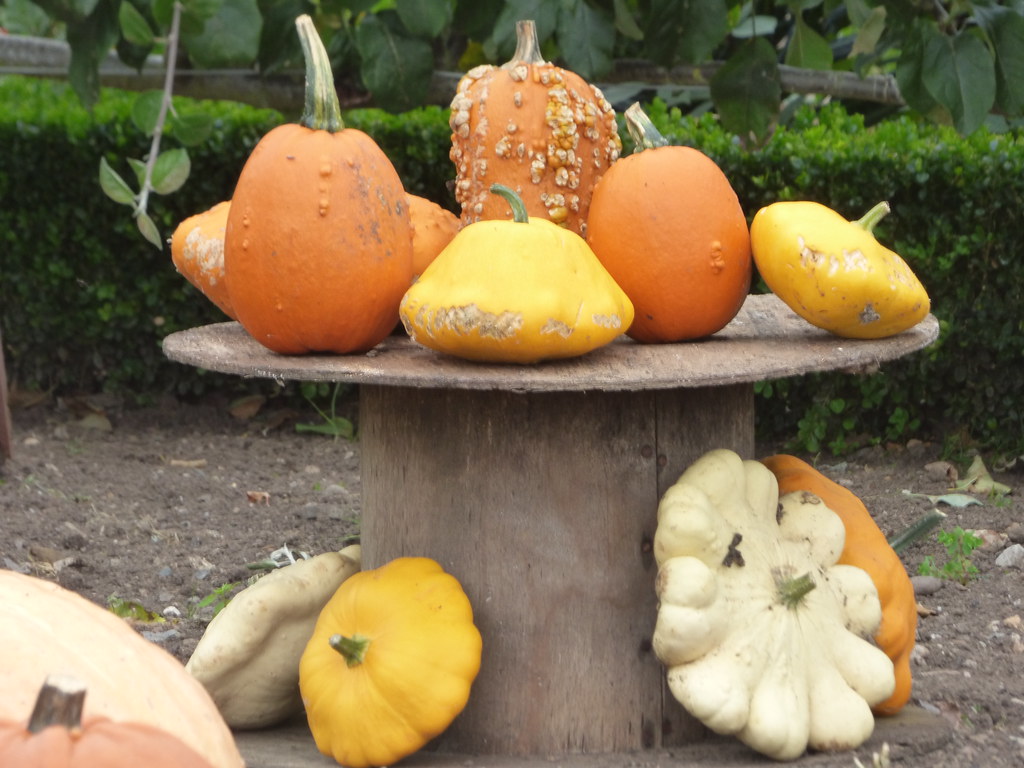 Kitchen Garden at Packwood House pumpkins for Halloween Flickr