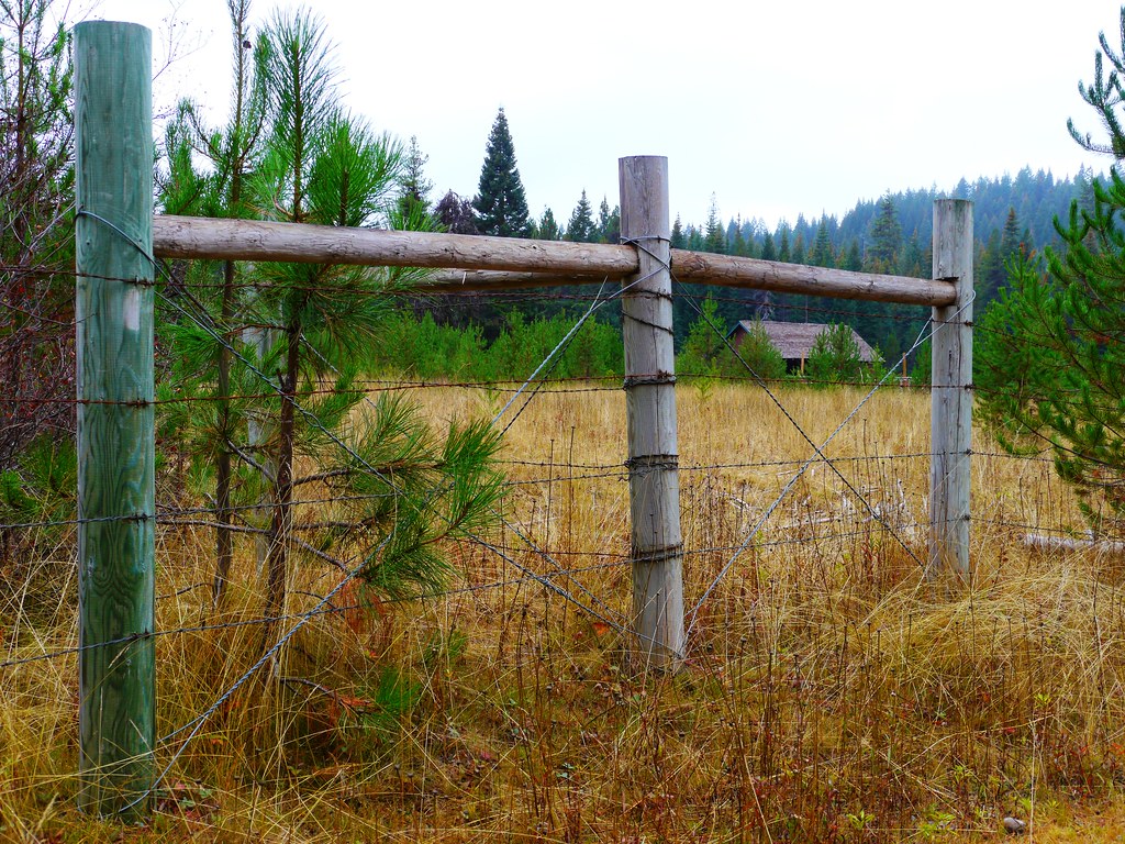 Cattle fence framing the Lodgepole Guard Station shed behi… Flickr