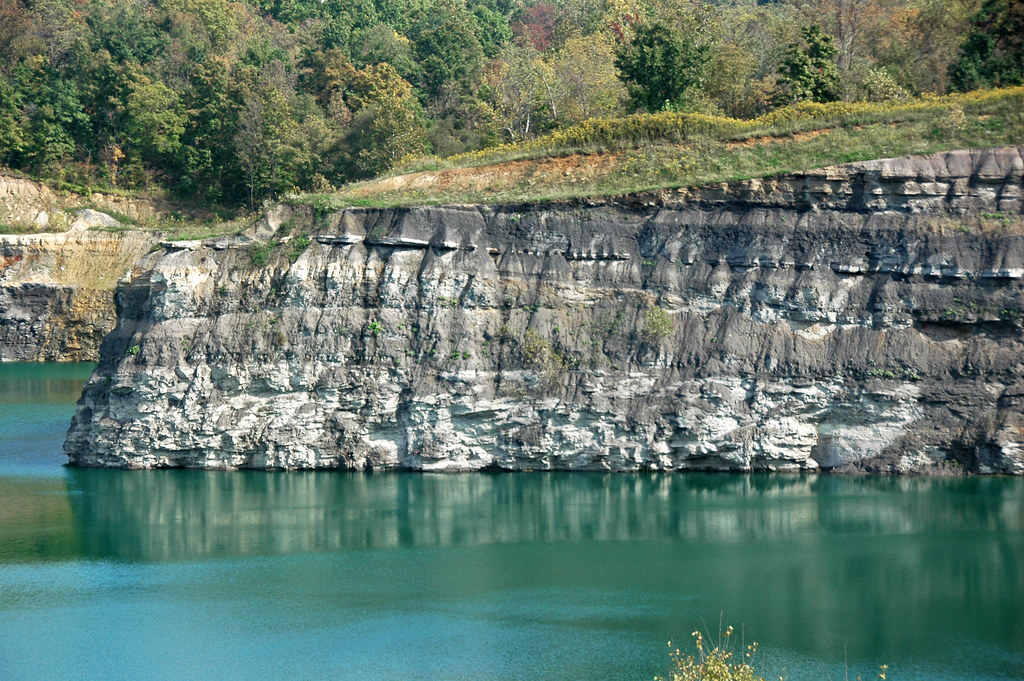 Pottsville Group (Pennsylvanian; Dupler Pit, East Fultonha… Flickr