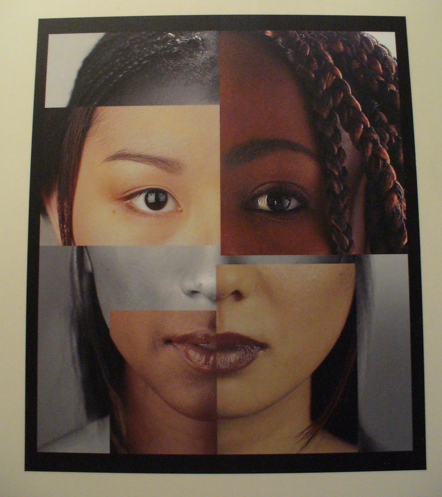 RACE exhibit placard at the Science Museum of Minnesota Flickr