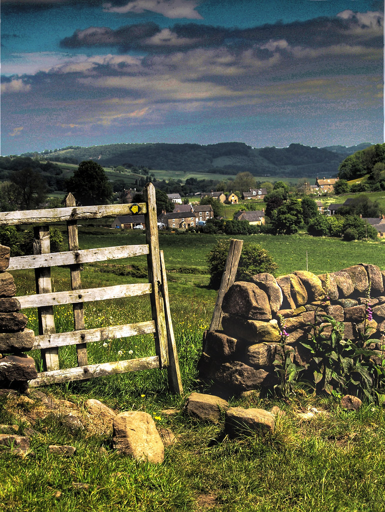 Belper Lane End frogdog* Flickr