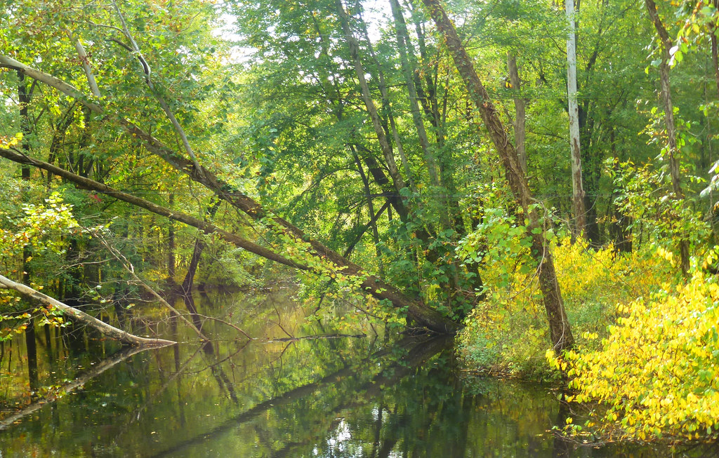 Paw Paw River Arlington Twp Rivers are always interesting … Flickr