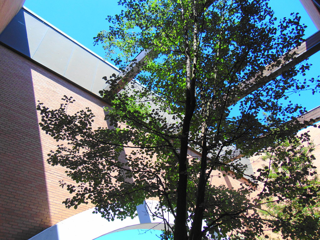 Former Macy's (Enfield Square, Enfield, Connecticut) Flickr