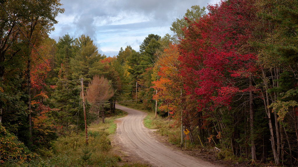 Star Lake Road, Ontario Mustang Joe Flickr