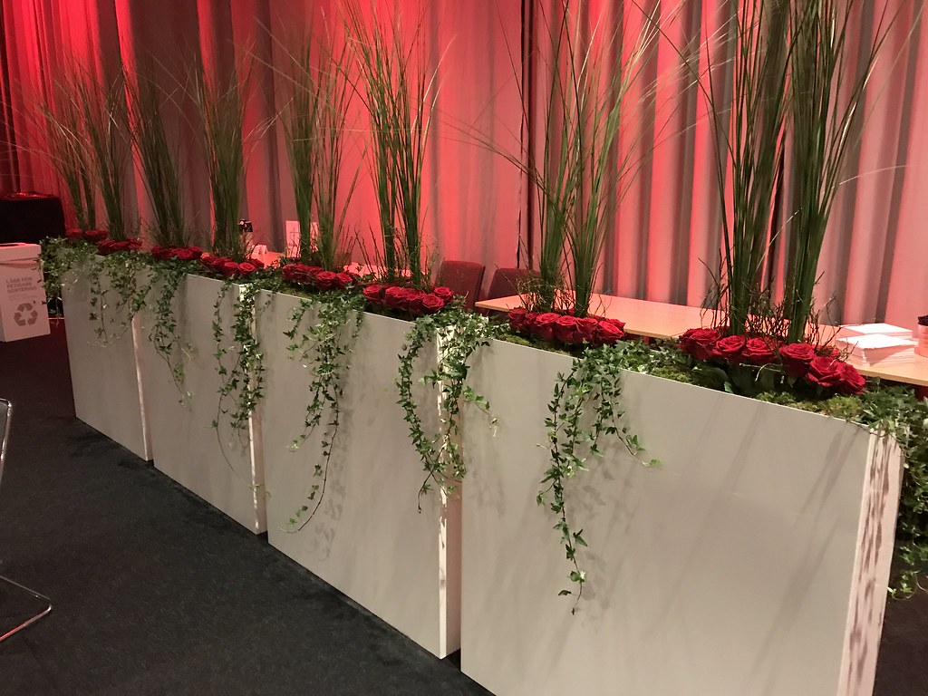 Untitled Flowers Gothia Towers Flickr