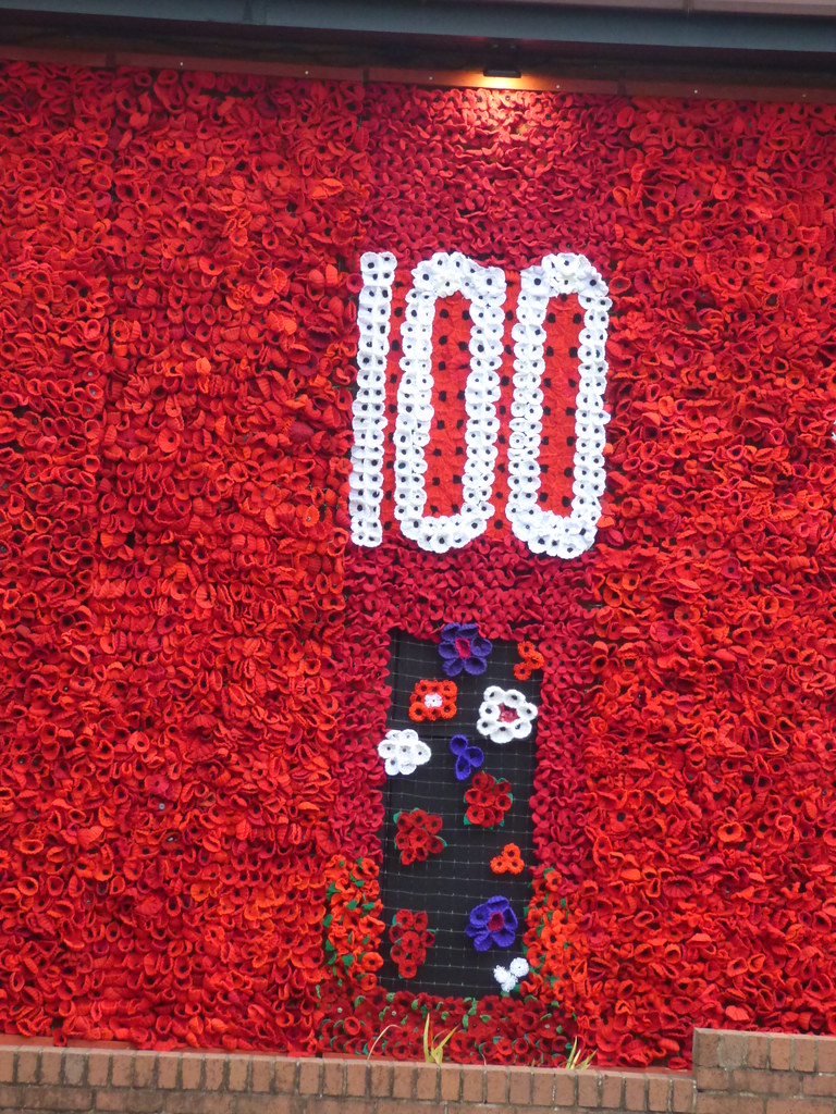 Knitted poppies Centenary of the end of WW1 The Bromsgrove