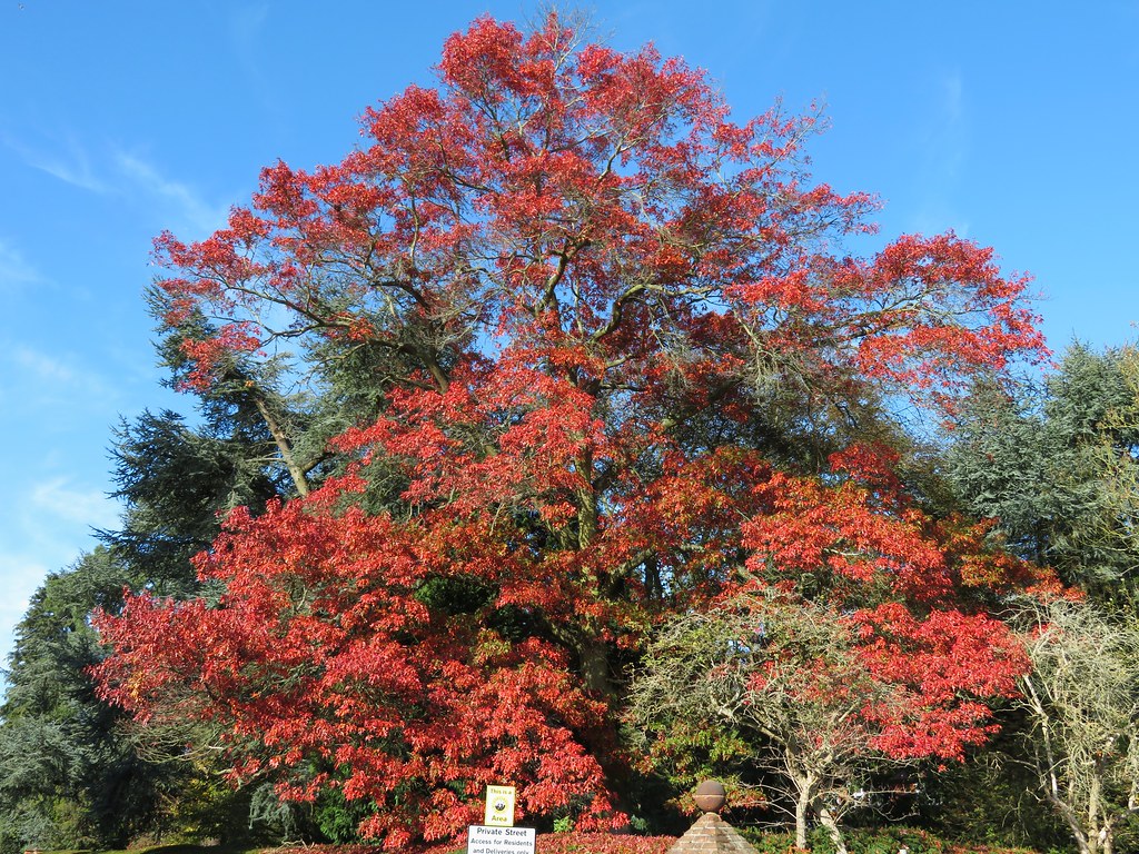 The Green Croxley Green portemolitor Flickr