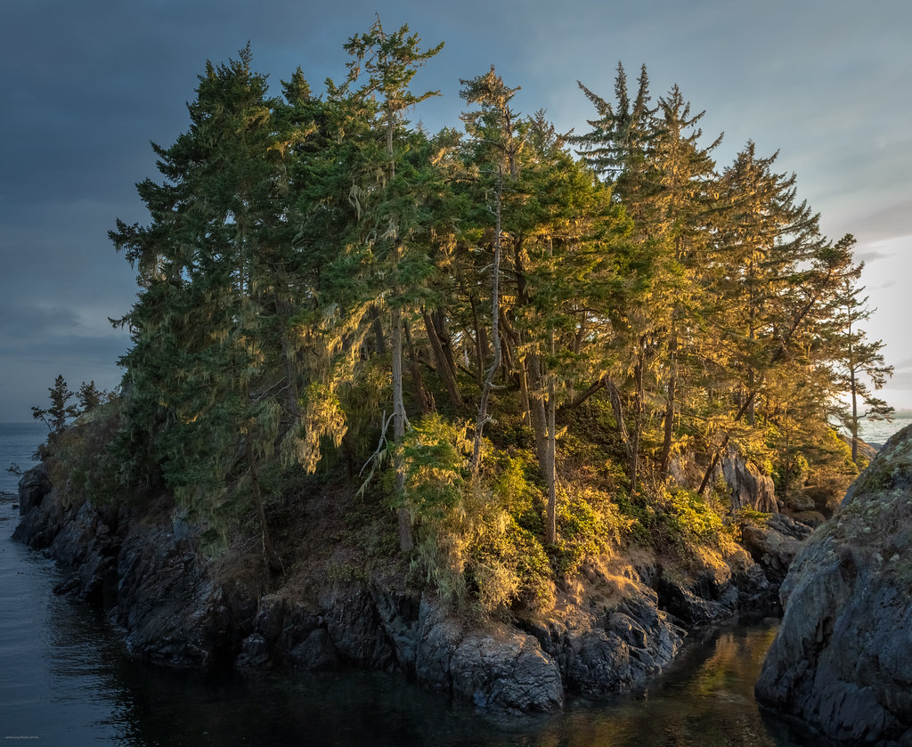 Cabin Point Island A small island near Cabin Point, East S… Flickr