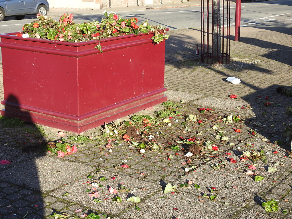 Vandalism in Muir of Ord Dave FREEDOM Flickr