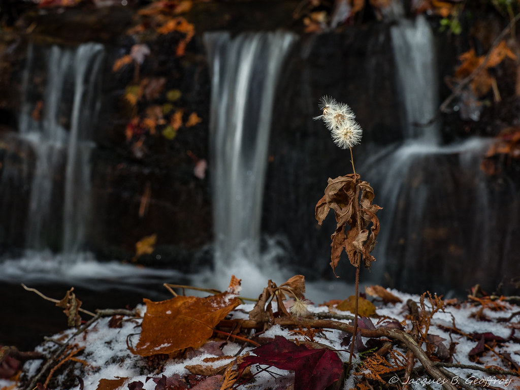 Elevation of SaintDonat, SaintDonatdeMontcalm, QC J0T 2C0, Canada Topographic Map