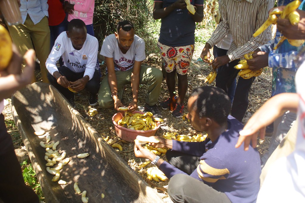 Kotsa Runonko,Kwenga Ibitoki no Gucunda Amata i Mayunzwe 1… Flickr