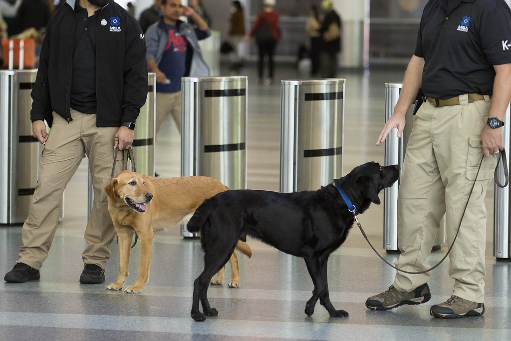 MSA K9 Handlers Law Enforcement Officers Security Unions L… Flickr