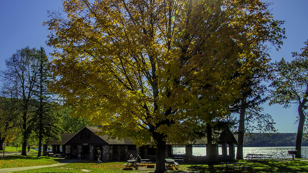 Black Oak CCC Shelter and Black Oak Tree Devil's Lake Stat… Flickr