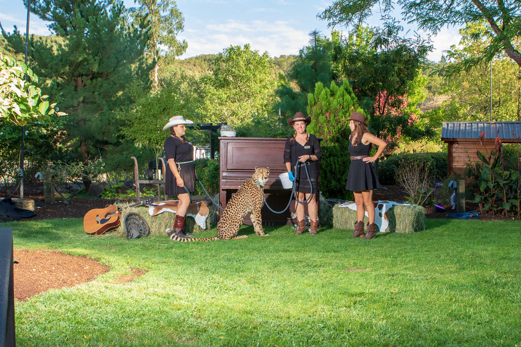 LAWS 2018 Ray Hull Photography Flickr