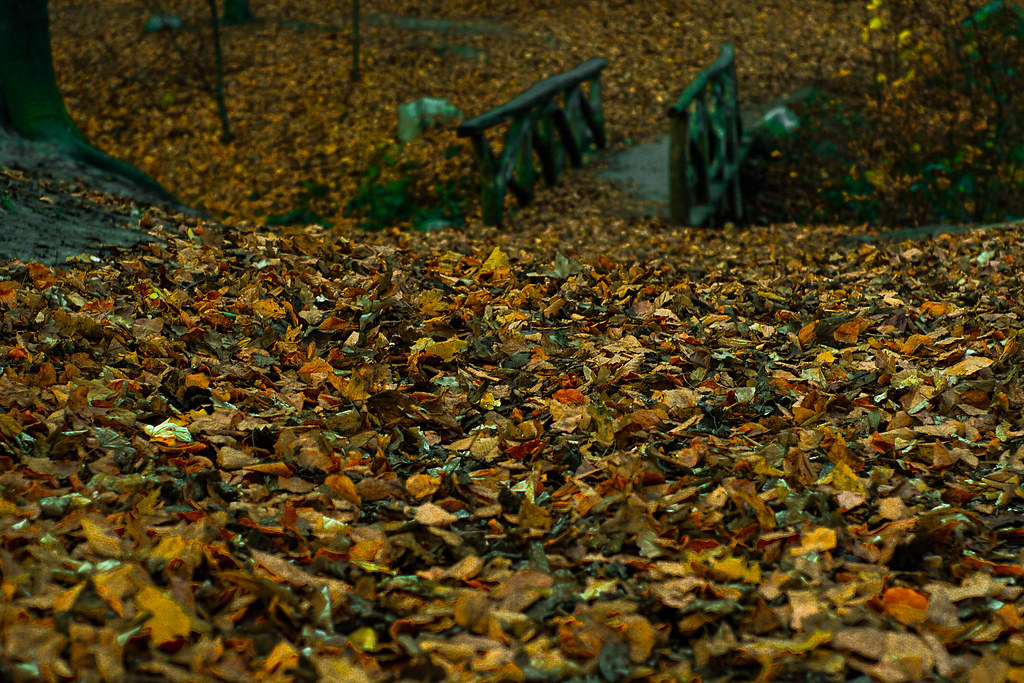 last days of autumn Till Rottmann Flickr