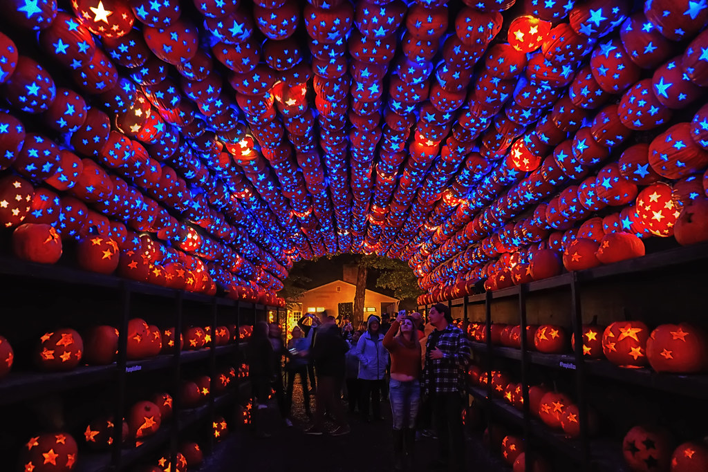 The Great Jack O' Lantern Blaze New York's biggest, most e… Flickr