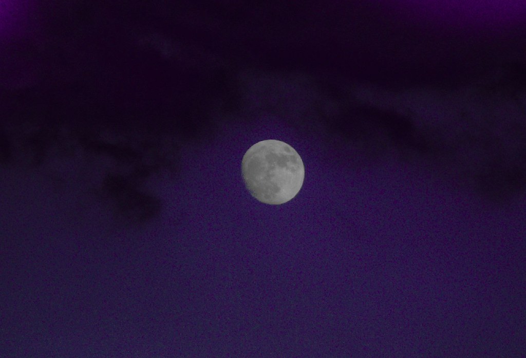 purple / moon Shaun Dunmall Flickr