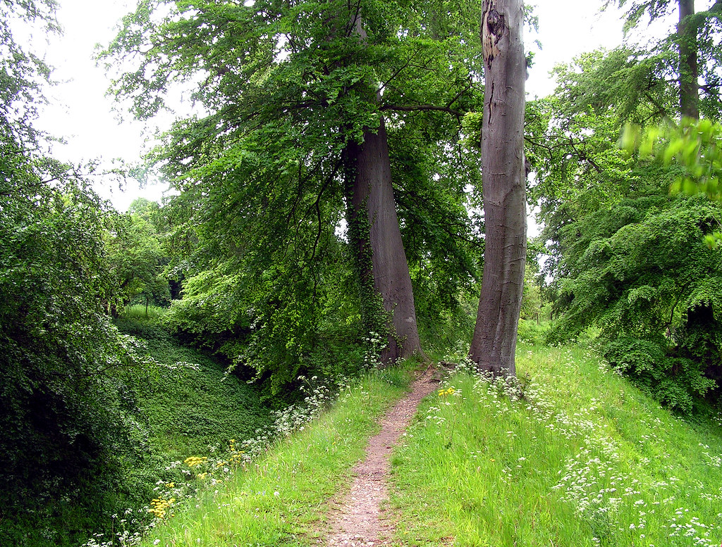 Tree Gateway Berkhamsted Castle Another lovely place to … Flickr