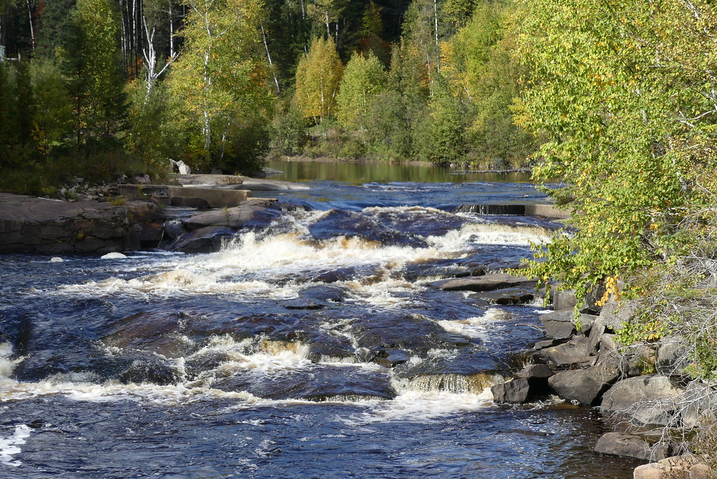 Rivière aux saumons, Zoo Sauvage de StFélicien Christa Niederreither