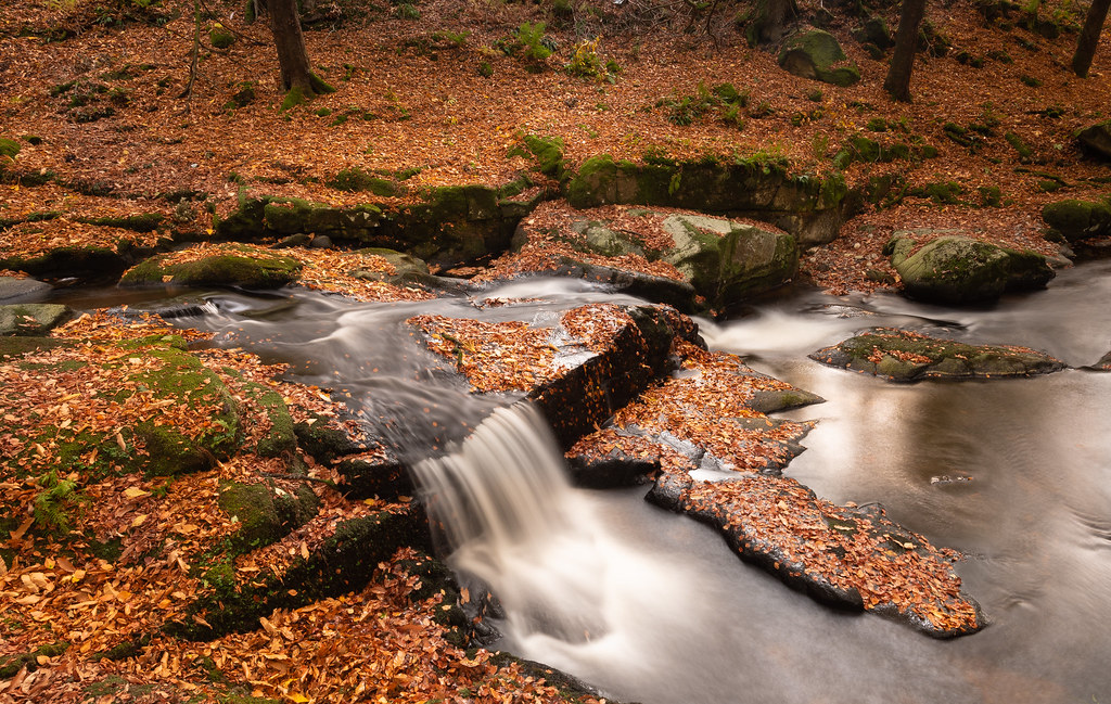 DSC_1428 Cloughleagh Manor Kilbride Co Wicklow Ireland Ita Martin