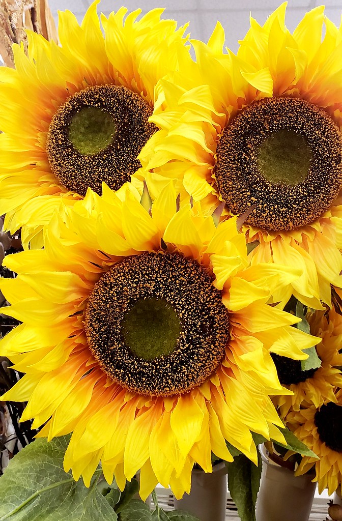 Silky Sunflowers Saw these silk sunflowers in Michael's cr… Flickr