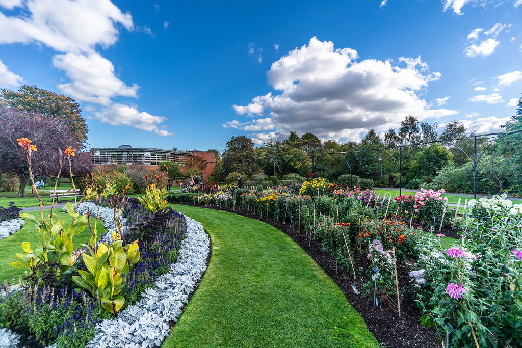 EARLY OCTOBER 2018 VISIT TO THE BOTANIC GARDENS [15mm VOIG… Flickr