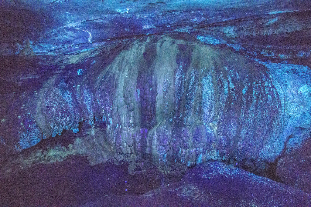 Longwave light, Howards Waterfall Cave, Southeastern Cave Conservancy