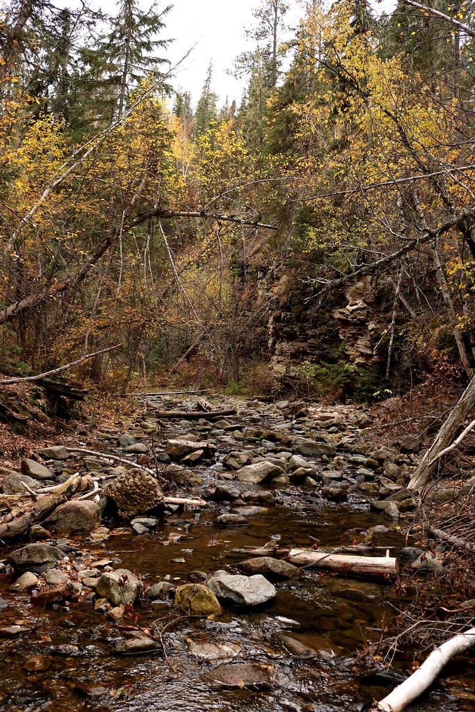 IMG_3114e Devil's Bathtub, Spearfish Canyon, SD Laura Adrian Flickr