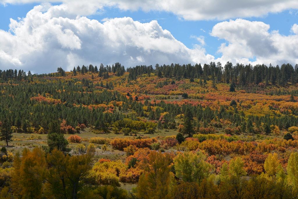 DSC_2490 Canjilon Lakes 10/3/18; Photo Credit US Forest Se… Flickr
