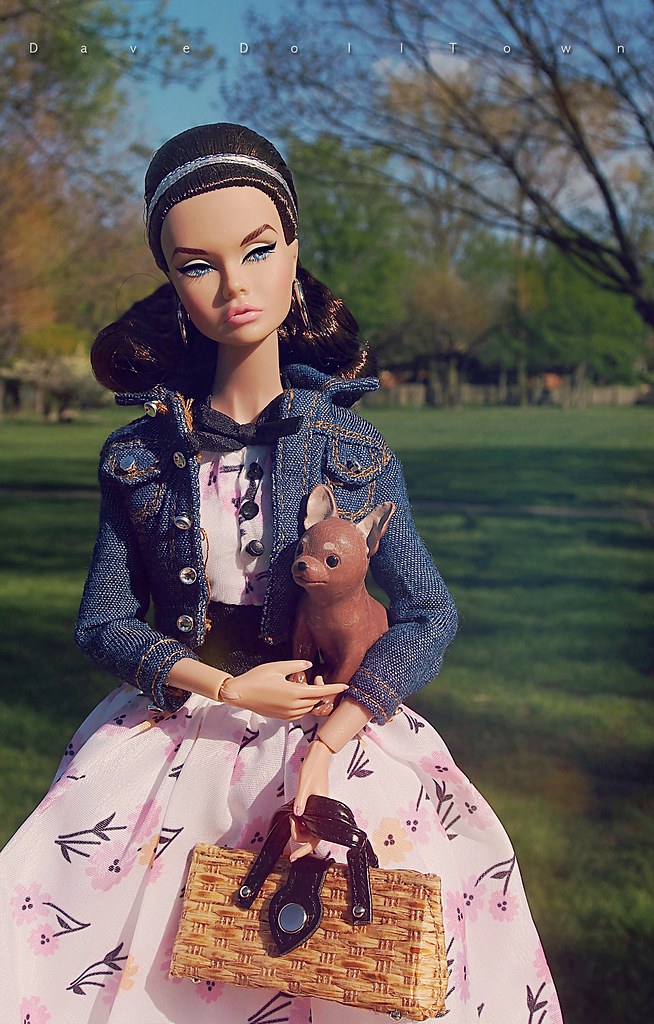 Poppy Parker Powder Puff Dave DollTown Flickr