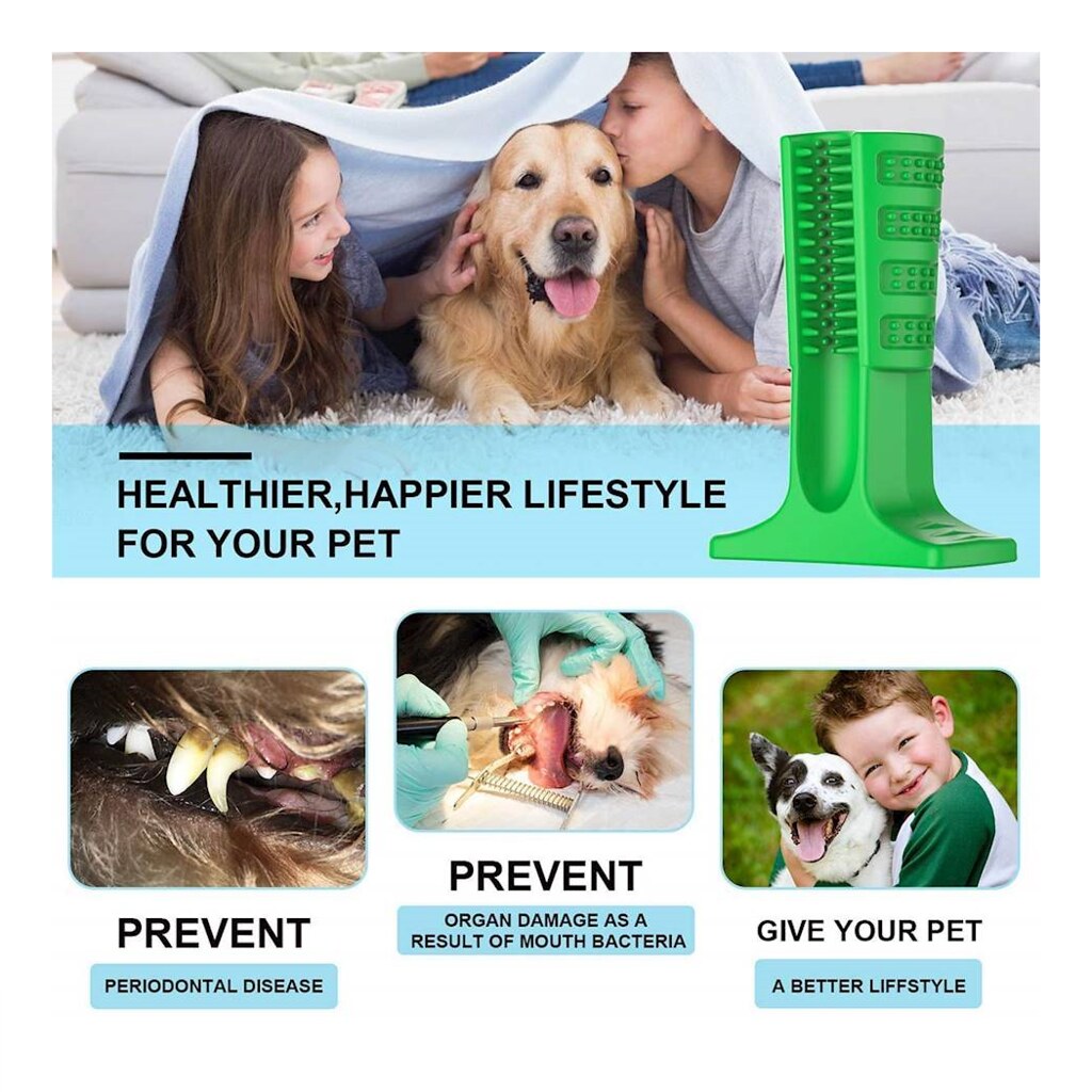 194114_dog toothbrush dog electric toothbrush dog toothbru… Flickr