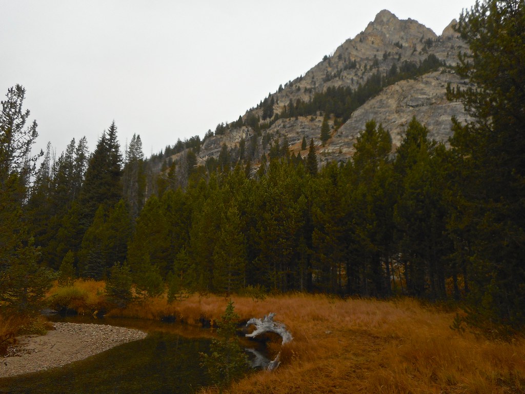 DSCN1564 Alpine Creek Fort Union Flickr