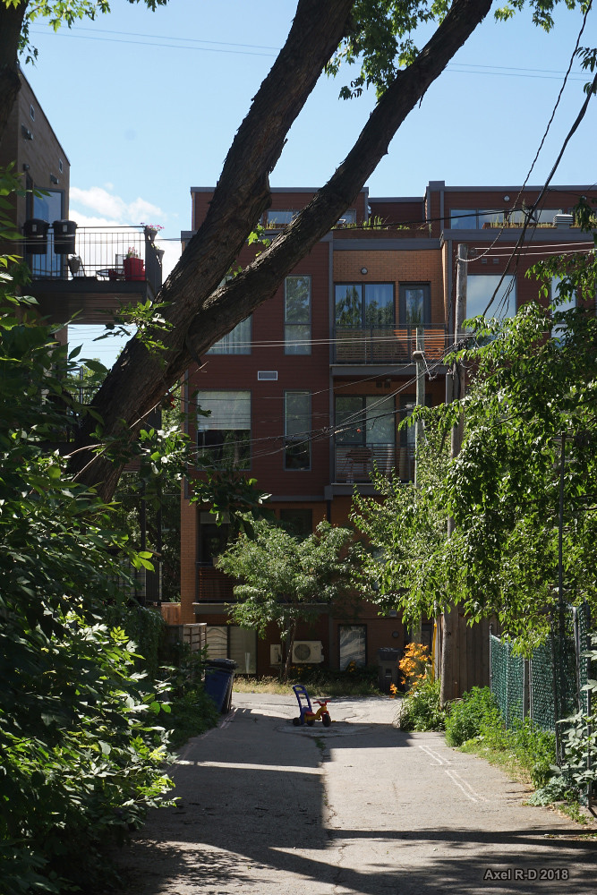 Rosemont, Montréal Axel Drainville Flickr