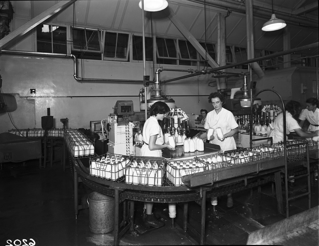 Milk pasteurising equipment Peters and Pauls factories, Brisbane. a