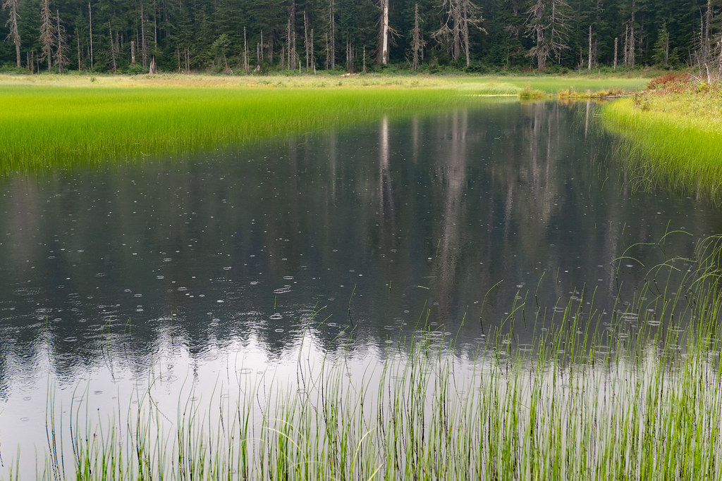 Ashland Lakes Upper Ashland Lake Monty VanderBilt Flickr