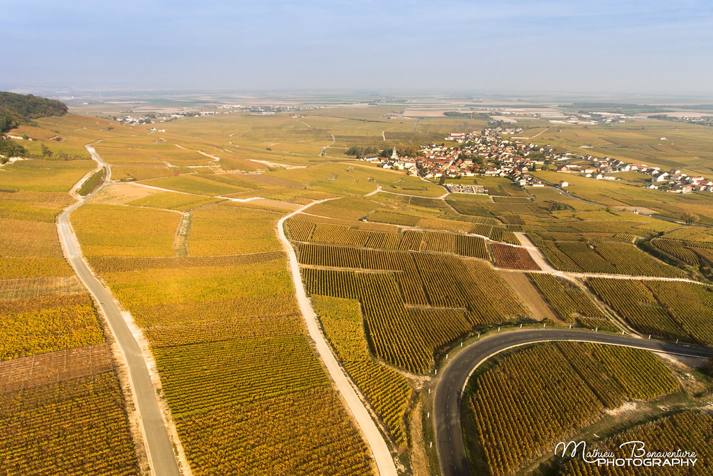 Champagne Vineyards Côte des Blancs Mathieu Bonaventure Flickr