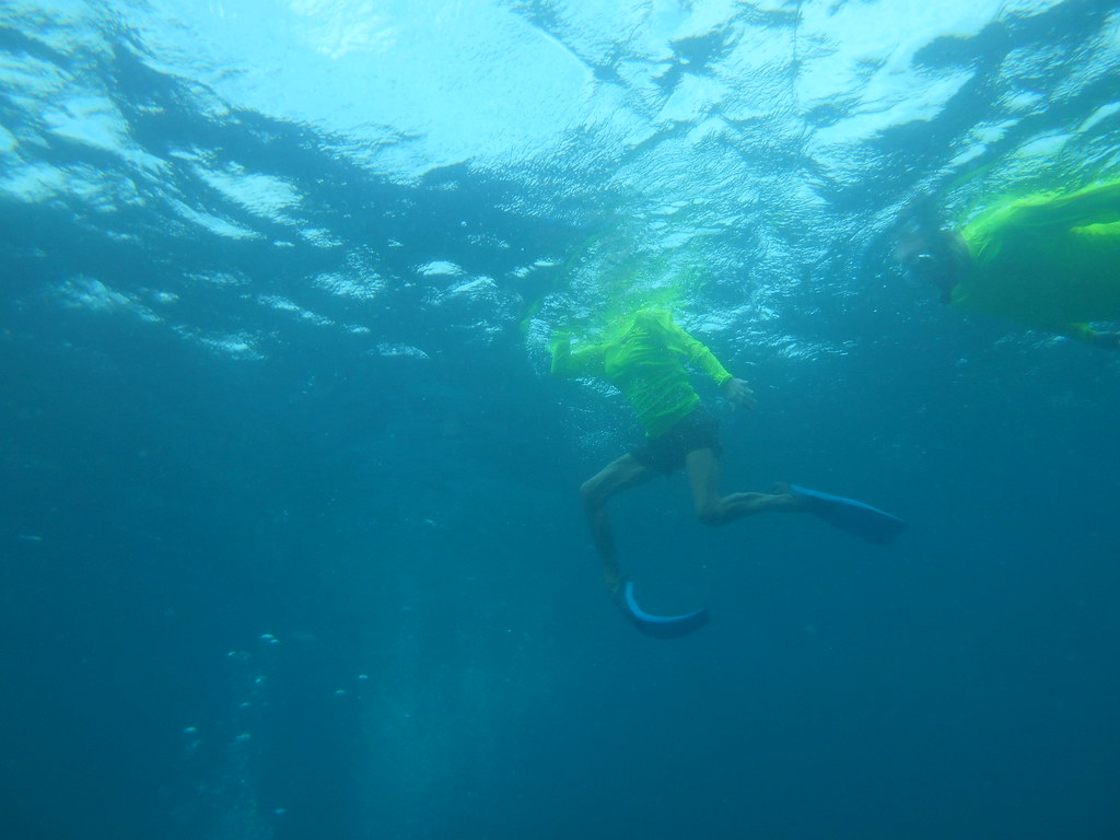 Benwood French Molasses Reefs Sail Fish Scuba Flickr