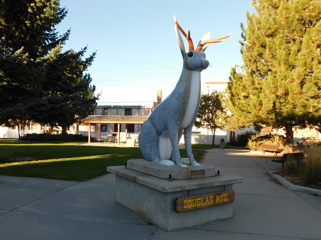 A Giant Jackalope Douglas, Wyoming Jimmy Emerson, DVM Flickr