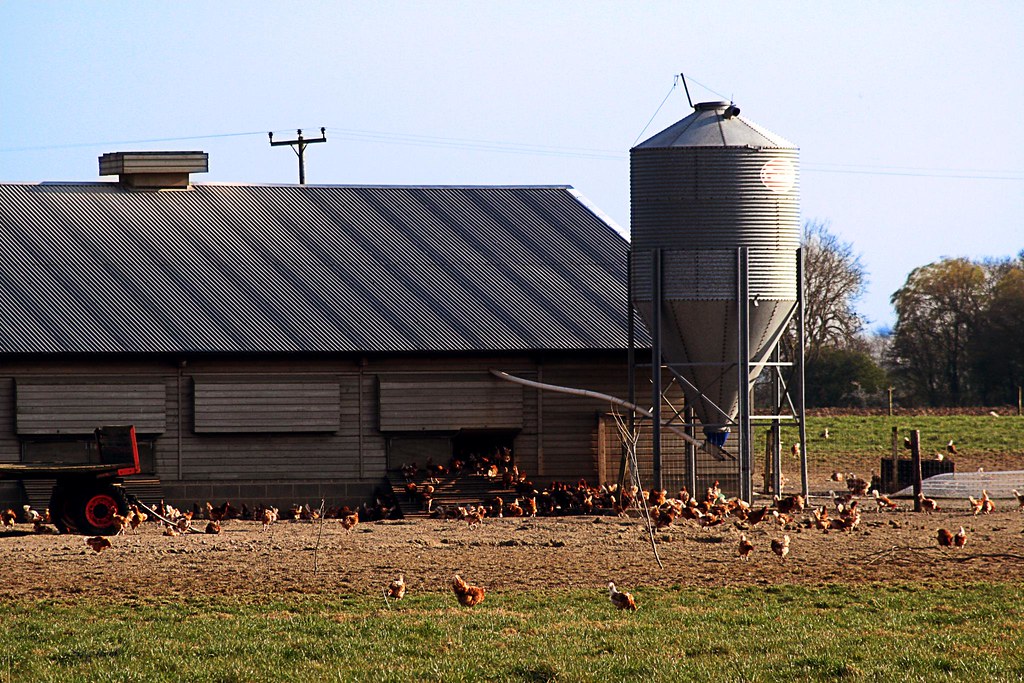 Chicken farm near Louth, Lincolnshire The most free range … Flickr
